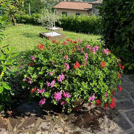 Casa Margherita Celide San Romano 외부 사진
