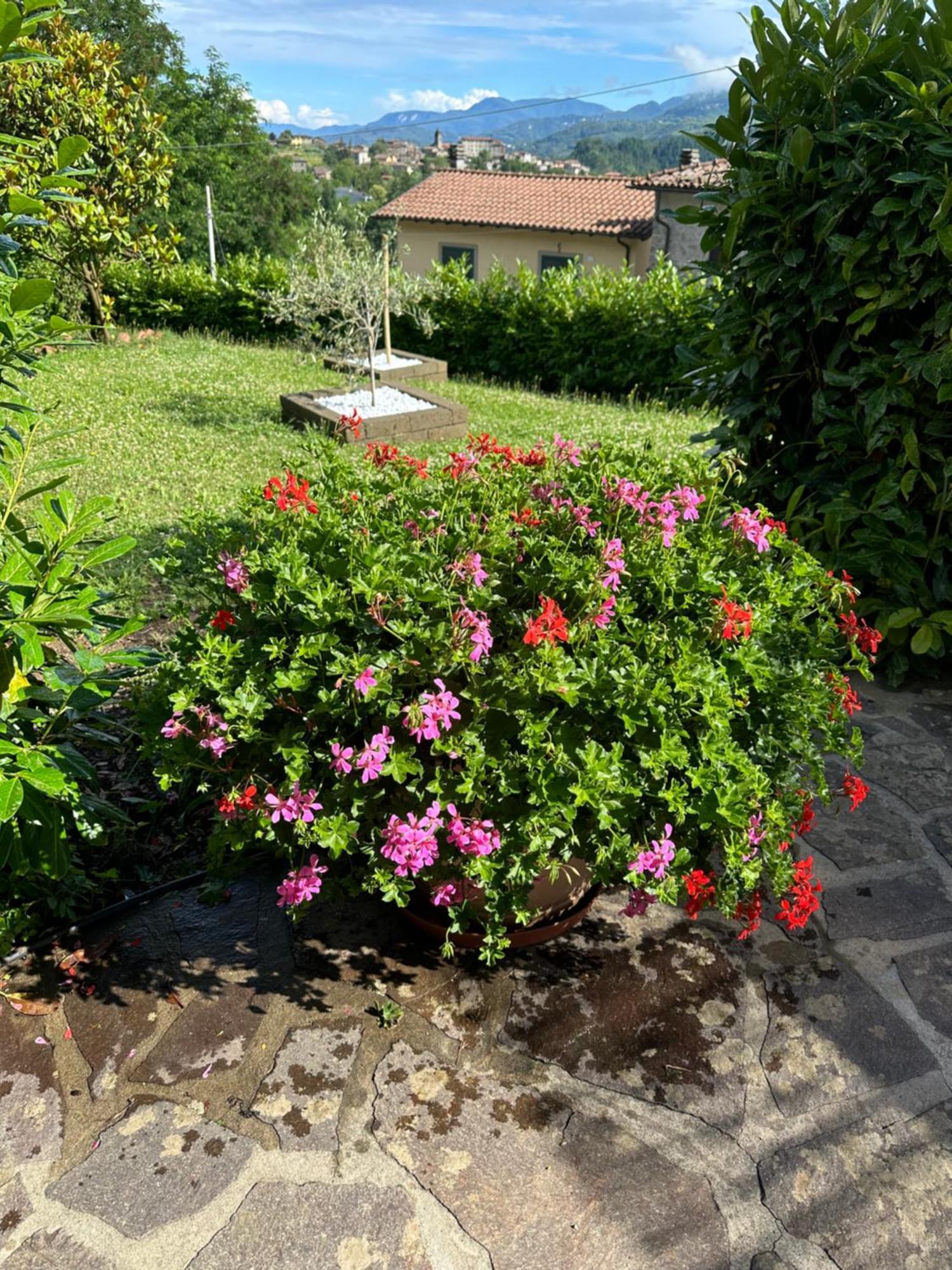 Casa Margherita Celide San Romano 외부 사진